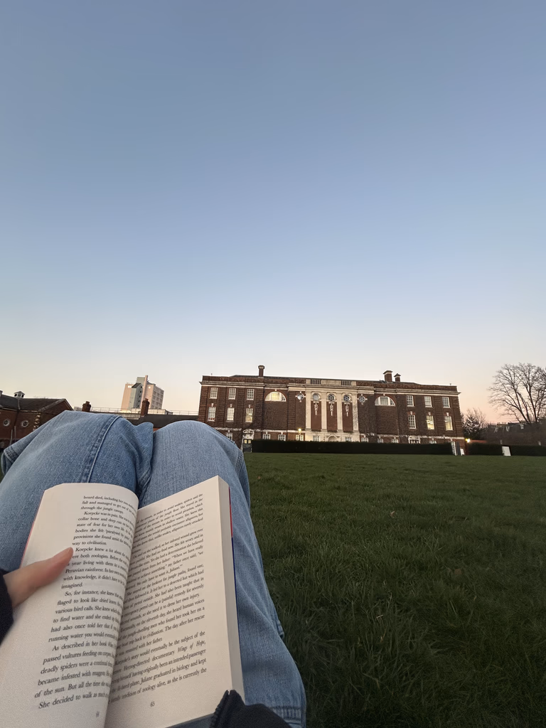 Reading outdoors at dusk